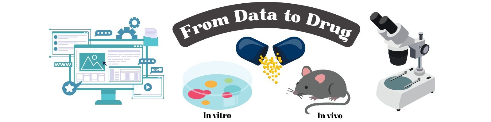 From data to drug — in silico, in vitro and in vivo research